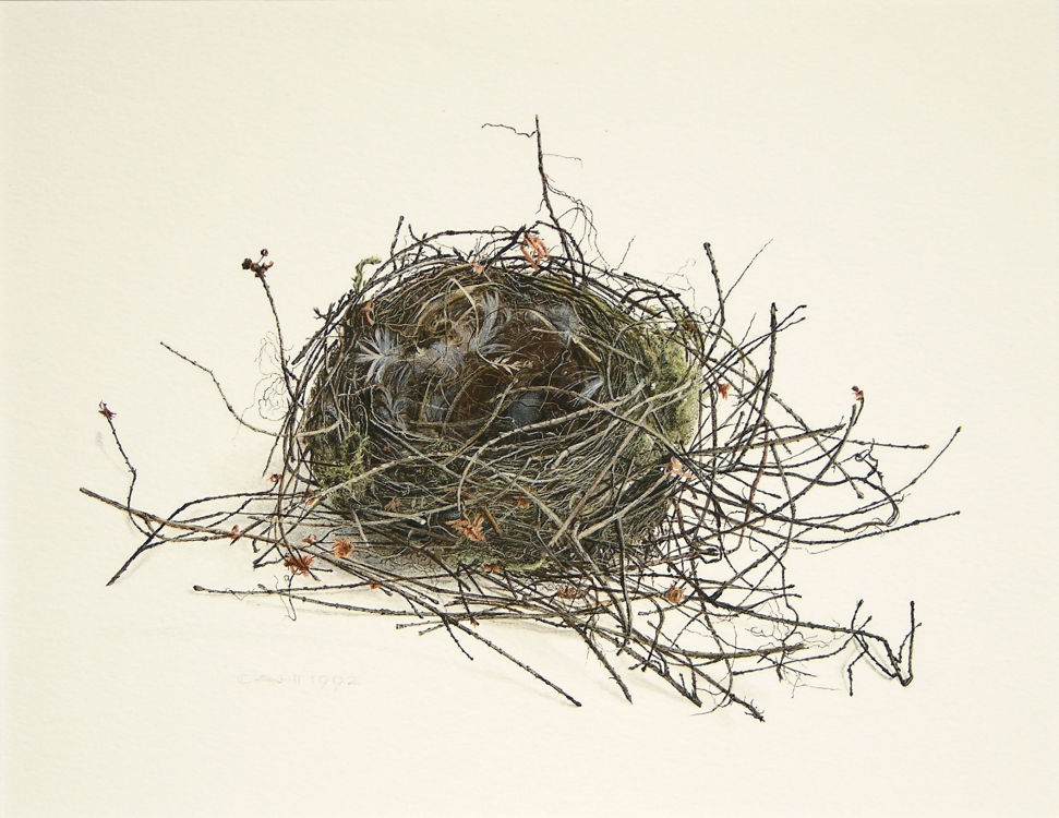 Nest © Chris Herenius