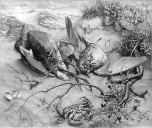 Waterral en koperwiek in de duinen, 1937, Dirk van Gelder