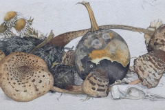 Verdroogde paddestoelen, kalebas en vogelschedel, 1924, Dirk van Gelder