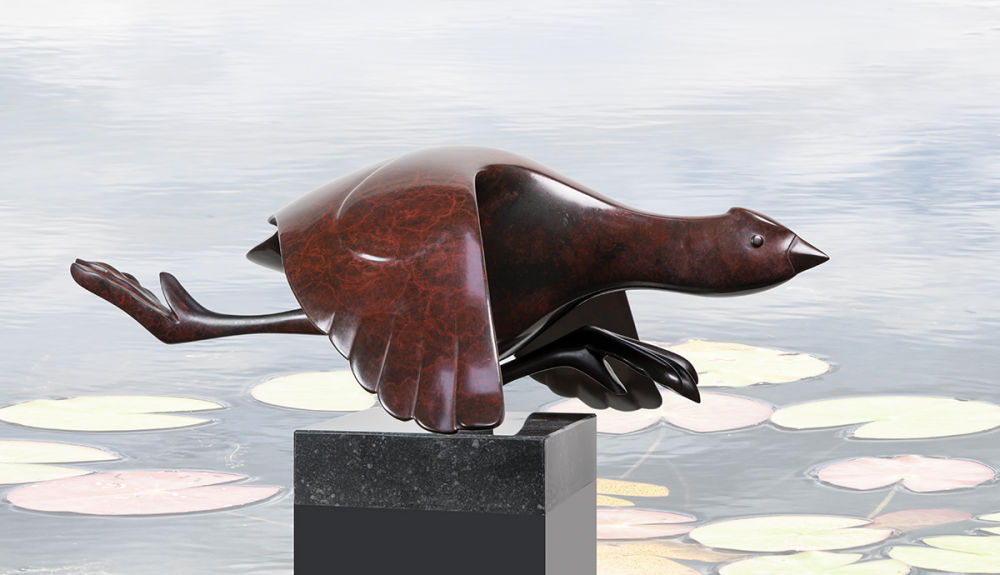 Opvliegende meerkoet © Evert den Hartog