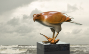 Roofvogel met vis © Evert den Hartog