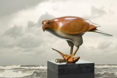 Roofvogel met vis © Evert den Hartog