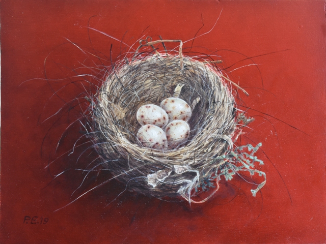 Nest boekvink © Piet Eggen