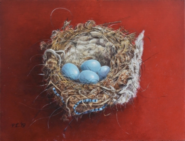 Nest heggenmus © Piet Eggen