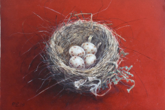 Nest boekvink © Piet Eggen