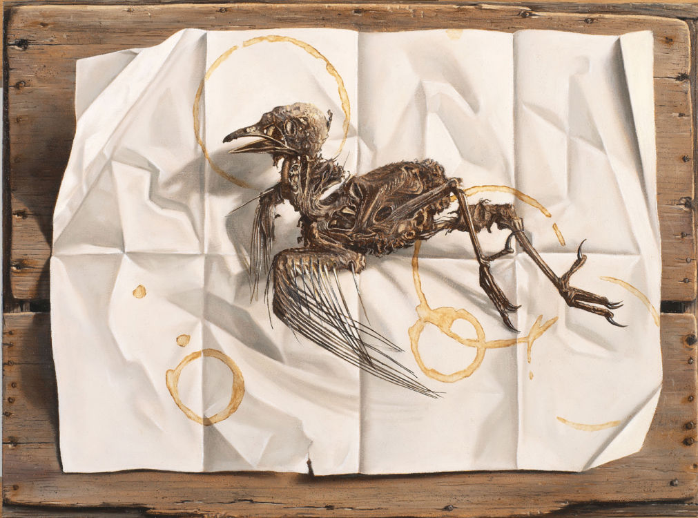 Archeopteryx Contemporalis © Rob Møhlmann