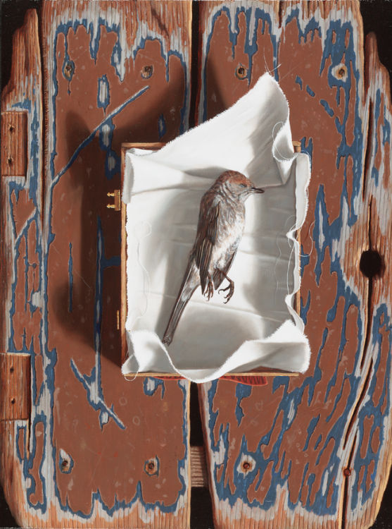 Dood vogeltje © Rob Møhlmann