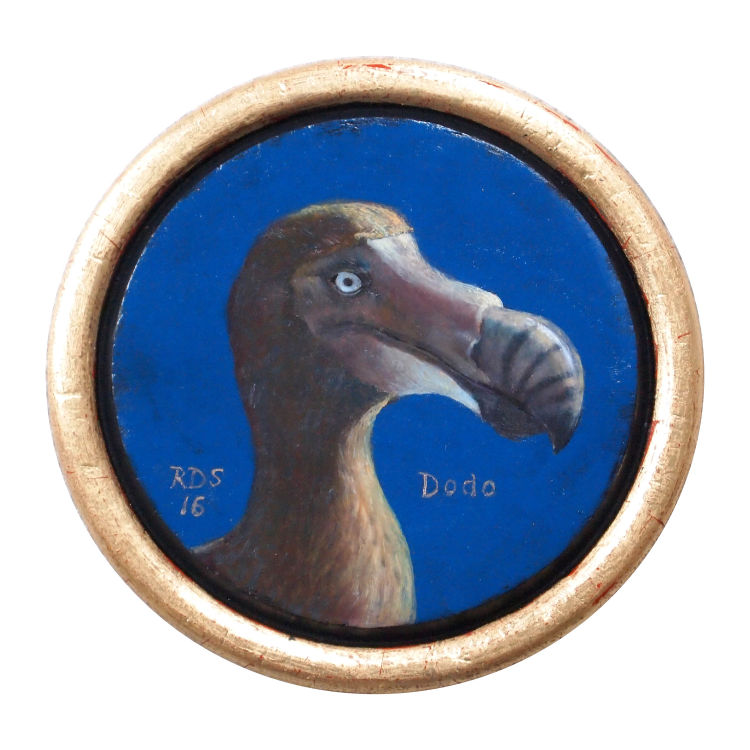 Ronde dodo © Robin d'Arcy Shillcock