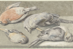 Stilleven van vier dode vogels