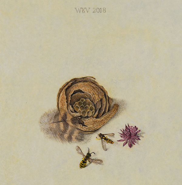 Stilleven met wespennestje © Wilma van der Vliet